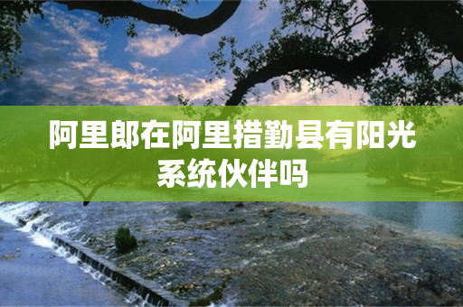 阿里郎在阿里措勤县有阳光系统伙伴吗
