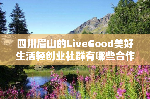四川眉山的LiveGood美好生活轻创业社群有哪些合作机会