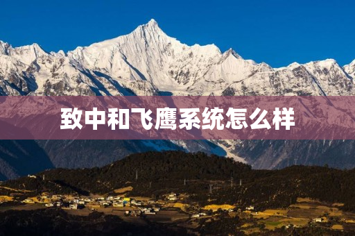 致中和飞鹰系统怎么样