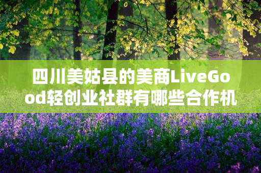 四川美姑县的美商LiveGood轻创业社群有哪些合作机会