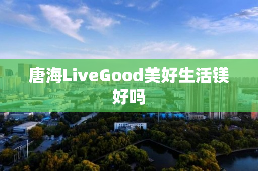 唐海LiveGood美好生活镁好吗
