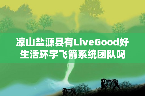 凉山盐源县有LiveGood好生活环宇飞箭系统团队吗