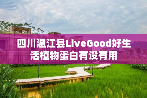 四川温江县LiveGood好生活植物蛋白有没有用
