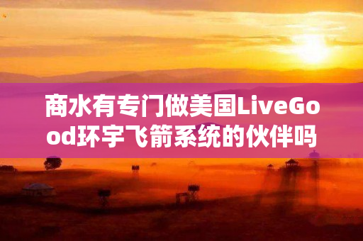 商水有专门做美国LiveGood环宇飞箭系统的伙伴吗
