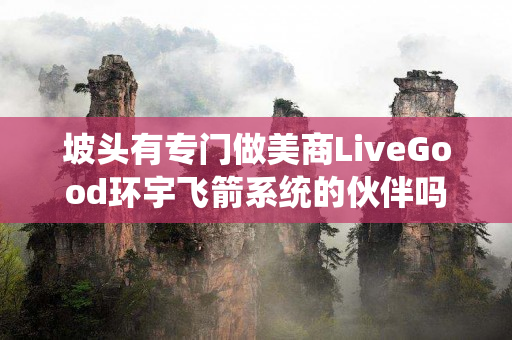 坡头有专门做美商LiveGood环宇飞箭系统的伙伴吗
