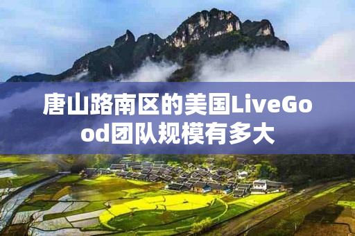 唐山路南区的美国LiveGood团队规模有多大