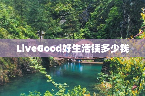 LiveGood好生活镁多少钱