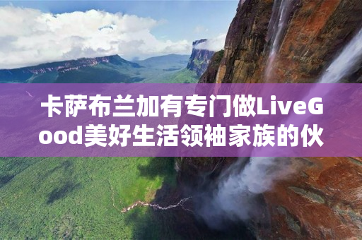 卡萨布兰加有专门做LiveGood美好生活领袖家族的伙伴吗