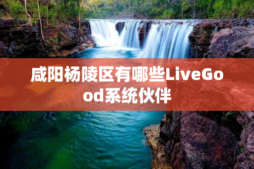 咸阳杨陵区有哪些LiveGood系统伙伴