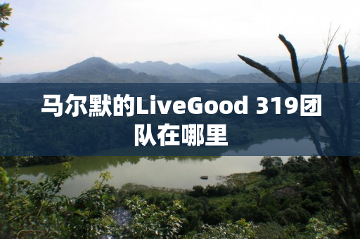 马尔默的LiveGood 319团队在哪里