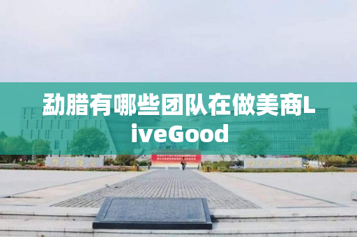 勐腊有哪些团队在做美商LiveGood