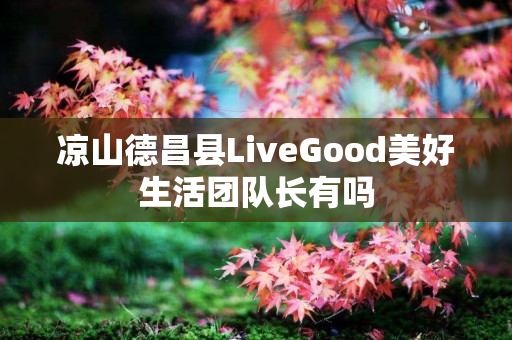 凉山德昌县LiveGood美好生活团队长有吗