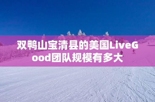 双鸭山宝清县的美国LiveGood团队规模有多大