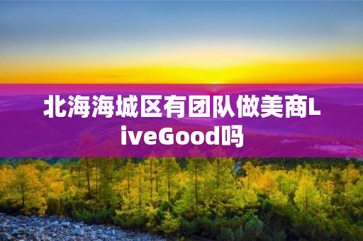北海海城区有团队做美商LiveGood吗