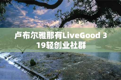 卢布尔雅那有LiveGood 319轻创业社群