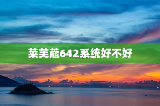 莱芙蔻642系统好不好