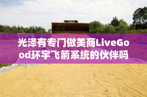 光泽有专门做美商LiveGood环宇飞箭系统的伙伴吗