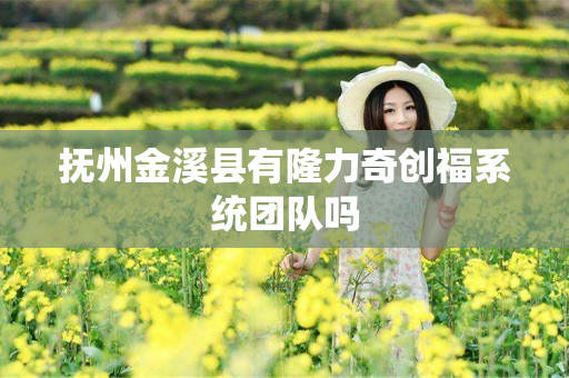 抚州金溪县有隆力奇创福系统团队吗