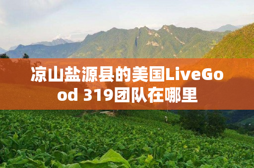 凉山盐源县的美国LiveGood 319团队在哪里