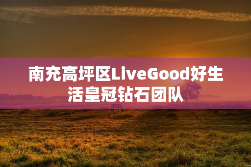 南充高坪区LiveGood好生活皇冠钻石团队