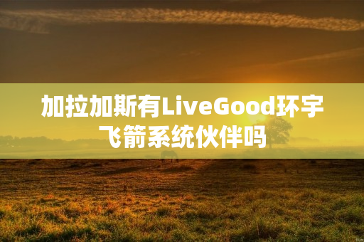 加拉加斯有LiveGood环宇飞箭系统伙伴吗