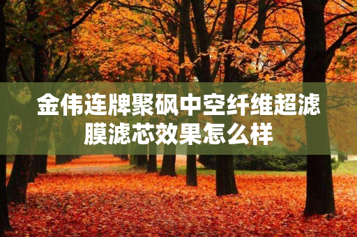 金伟连牌聚砜中空纤维超滤膜滤芯效果怎么样