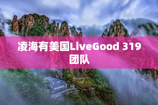 凌海有美国LiveGood 319团队