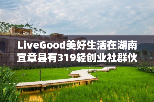 LiveGood美好生活在湖南宜章县有319轻创业社群伙伴吗