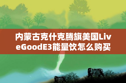 内蒙古克什克腾旗美国LiveGoodE3能量饮怎么购买
