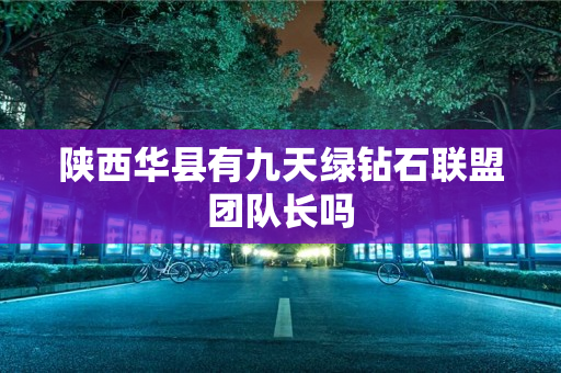 陕西华县有九天绿钻石联盟团队长吗