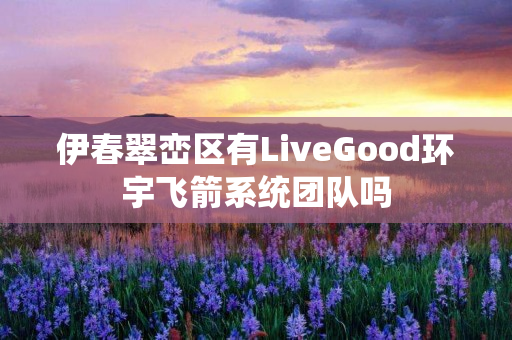 伊春翠峦区有LiveGood环宇飞箭系统团队吗