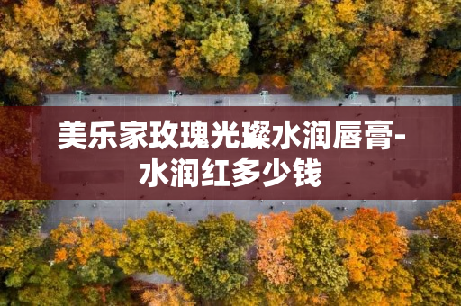 美乐家玫瑰光璨水润唇膏-水润红多少钱