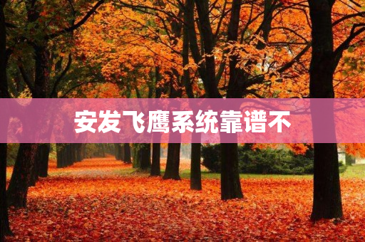 安发飞鹰系统靠谱不