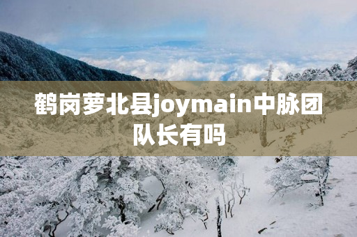 鹤岗萝北县joymain中脉团队长有吗
