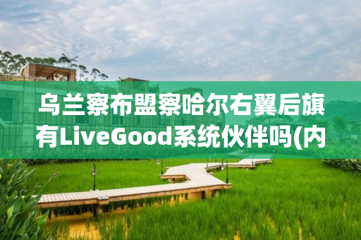 乌兰察布盟察哈尔右翼后旗有LiveGood系统伙伴吗(内蒙古自治区乌兰察布盟察哈尔右翼后旗)