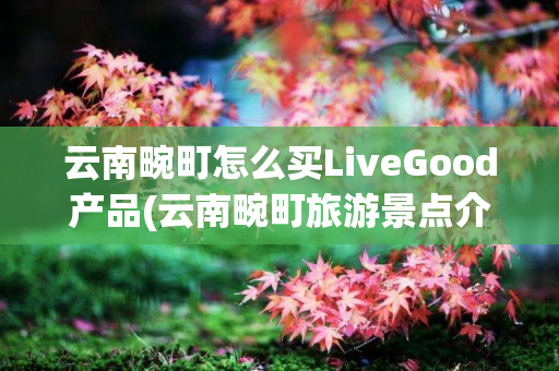 云南畹町怎么买LiveGood产品(云南畹町旅游景点介绍)