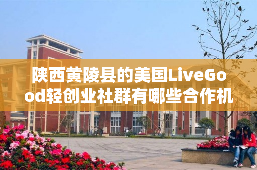 陕西黄陵县的美国LiveGood轻创业社群有哪些合作机会