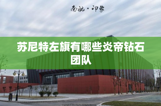苏尼特左旗有哪些炎帝钻石团队