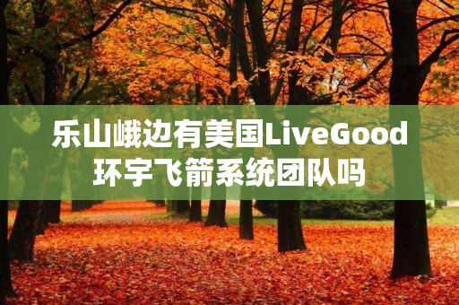 乐山峨边有美国LiveGood环宇飞箭系统团队吗