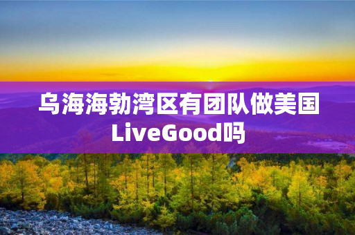 乌海海勃湾区有团队做美国LiveGood吗