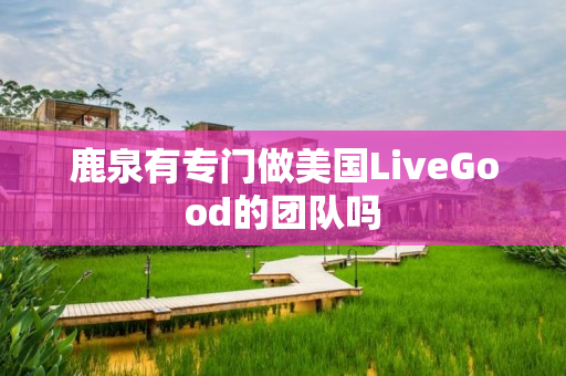 鹿泉有专门做美国LiveGood的团队吗