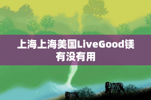 上海上海美国LiveGood镁有没有用