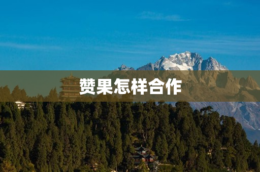 赞果怎样合作