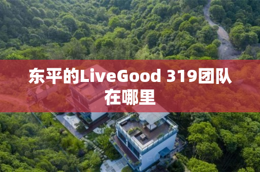 东平的LiveGood 319团队在哪里