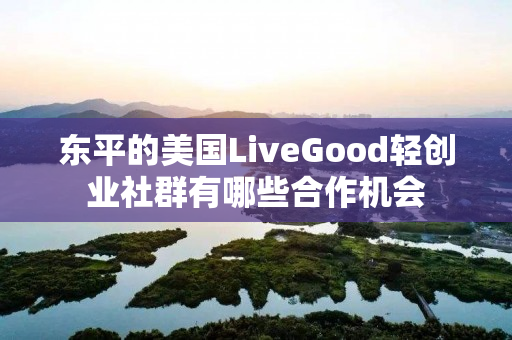 东平的美国LiveGood轻创业社群有哪些合作机会