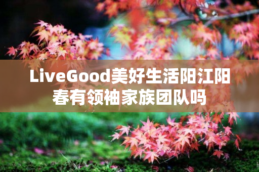 LiveGood美好生活阳江阳春有领袖家族团队吗