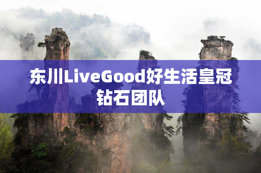 东川LiveGood好生活皇冠钻石团队