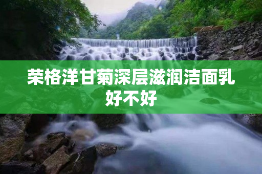 荣格洋甘菊深层滋润洁面乳好不好