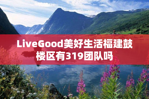LiveGood美好生活福建鼓楼区有319团队吗