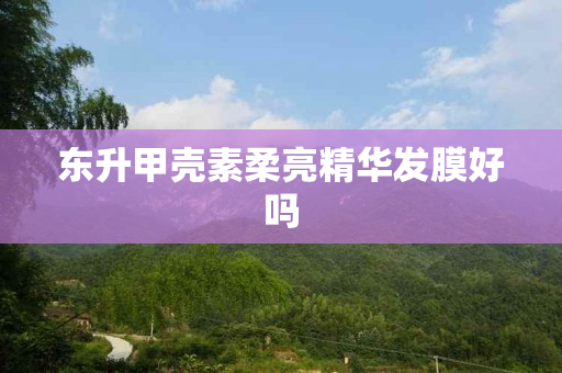 东升甲壳素柔亮精华发膜好吗